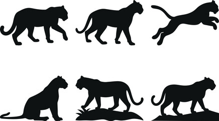 Set of Tiger Silhouette