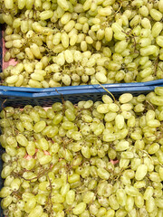  fresh green grapes for sale in market . grape texture. Seedless grape variety