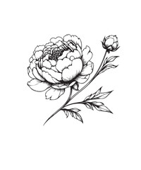 Flower line art vector