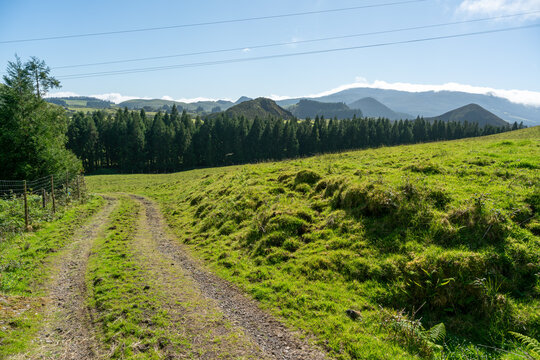 View along Trilho Rocha do Chamgre 0 - PRC06 hiking trail on Terceira in the Azores of Portugal, towards Pico Gaspar