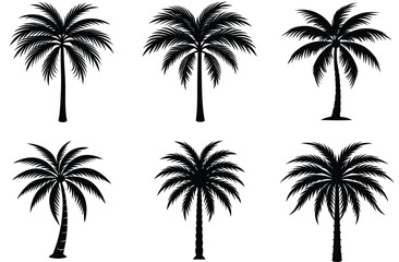 Tropical beach vector illustration set of palm tree silhouettes under a summer sky