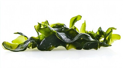 Isolated Laminaria Spirulina Fucus Litotamnia Se Image with 40 Keywords