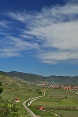 Weißenkirchen in der Wachau im Frühling, vertikal