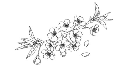 Cherry Blossom Branch Outline Art Design for Spring Projects and Decor