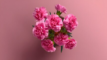 Vibrant Pink Carnations Displayed from Top Down View on Soft Pink Background for Floral Decor