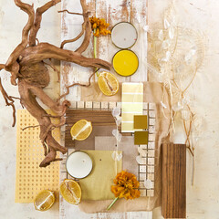 color palette mood board in beige tones with yellow and green accents for interior design and...