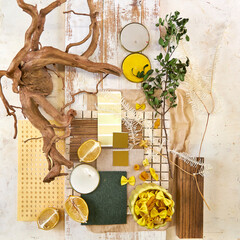 color palette mood board in beige tones with yellow and green accents for interior design and...