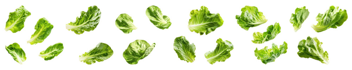 PNG Fresh crisp green lettuce leaves, elements on transparent background