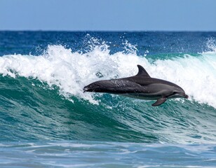Fototapeta premium Playful dolphins jumping over breaking waves, close up 
