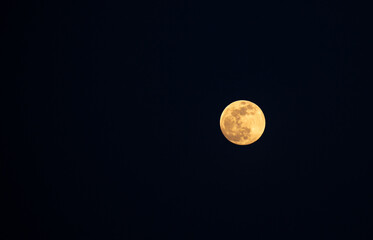 Fototapeta premium Full moon in the black sky. Close-up of the moon in the evening or night sky. Supermoon is an astronomical event.