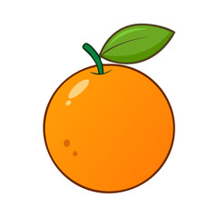 orange fruit vector illustration