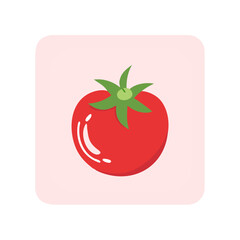 vector illustration of tomato