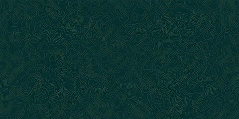 Abstract geometric vector illustration wavy black and white contour line topographic design.