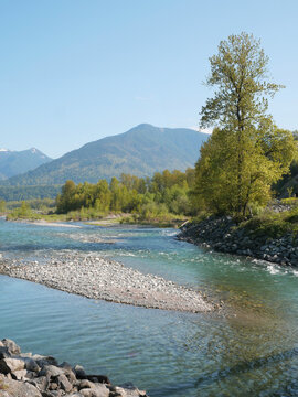 Chilliwack River as seen from the Vedder Rotary Trail North during a spring season in Chilliwack, Fraser Valley, British Columbia, Canada