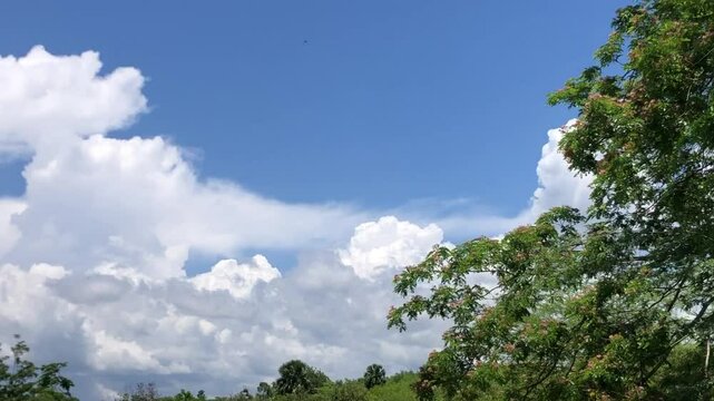 sky and clouds