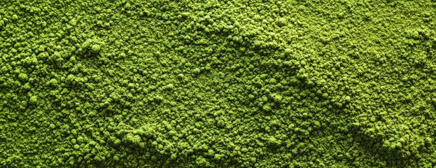 Green Tea Powder Texture