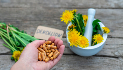 Dandelion extract and homeopathic supplements. Selective focus.