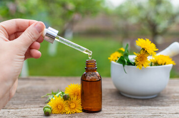 Dandelion extract and homeopathic supplements. Selective focus.