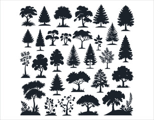 Pine and Jungle Trees in Forest Silhouette