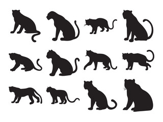 Set of panther vector silhouette