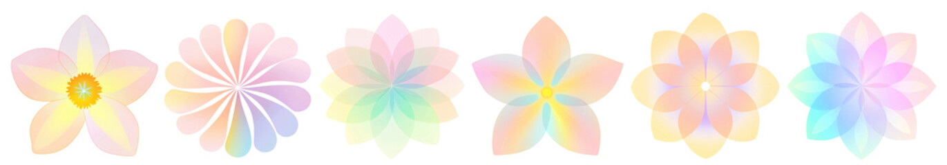 Obraz premium PNG Pastel floral pattern design, element set on transparent background