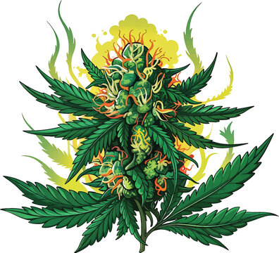 Marijuana leaves flowers and tree stock photos