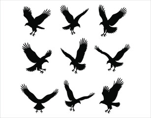 Obraz premium Flying and Perched Eagles Silhouette Set