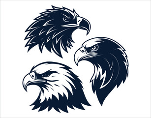 Obraz premium Guarding Spirit Eagle Head Bundle