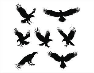 Obraz premium Hunting Eagle Silhouette Bundle