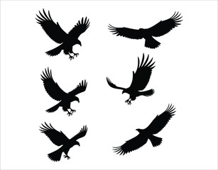Fototapeta premium Noble Eagles Vector Silhouettes