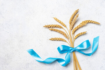 Wheat crops with blue ribbon. Shavuot concept.
