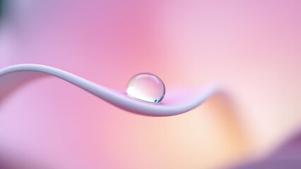 Water droplets on pink flower petals