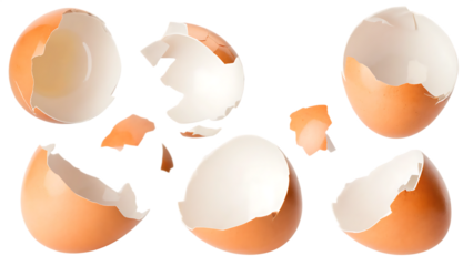 broken eggshell isolated on white background PNG