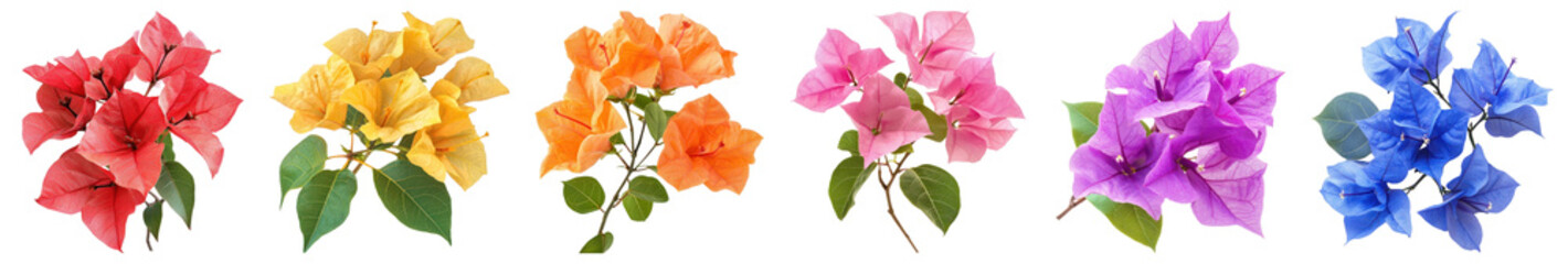 PNG Colorful vibrant floral arrangement, isolated element set on transparent background