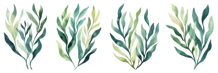 Fototapeta premium PNG Watercolor green leaf illustrations, isolated element set on transparent background