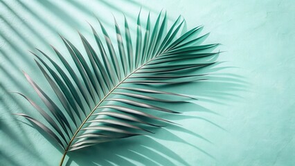 Fototapeta premium Serene Palm Frond Casts Shadows on a Soft Aqua Background, Evoking a Sense of Calm and Tranquility