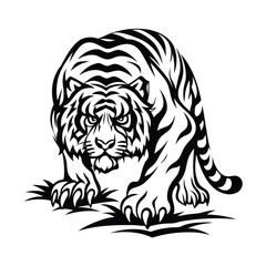 Fototapeta premium Striking Black and White Tiger Intense Eyes, Bold Stripes, Strong Paws