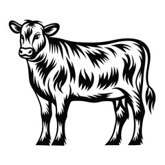 Monochrome Calf Black and White Bovine Art, Farm Animal, Dairy Cow Design