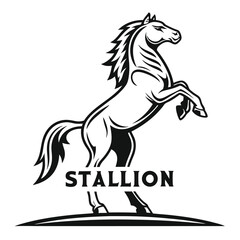 Black and White Stallion Rearing Up Majestic Horse Illustration