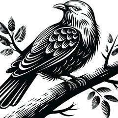 Obraz premium bird logo design vector