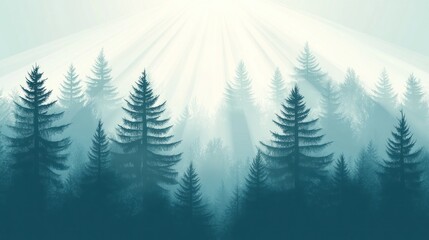 Obraz premium Misty Forest Sunlight