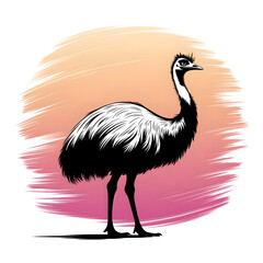 Fototapeta premium vector illustration of an emu