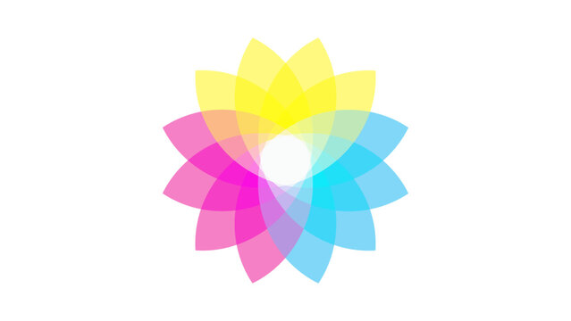Colorful Cycloidal Rose Curve Vector for Logo Design