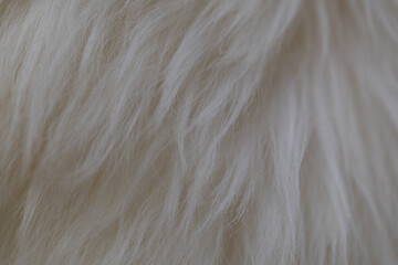 white fluffy  cloth textured background