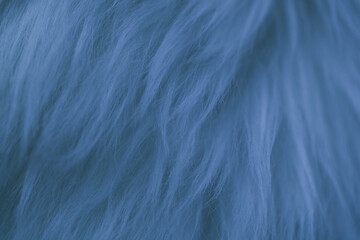 Obraz premium blue fluffy cloth textured background