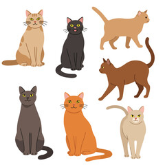 Creative Flat Vector Illustrations of Cat: Minimalist, Modern, and Perfect for Pet-Themed Graphics.Charming Flat Vector Cat Illustration: Playful, Minimal, and Versatile Cartoon Primate Design