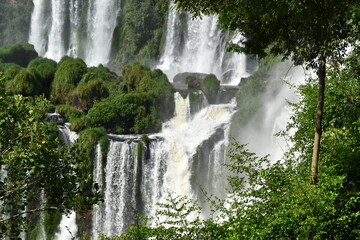 Fototapeta premium Iguazu waterfalls