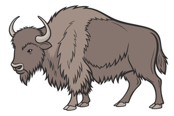 Yak Illustration on White Background.