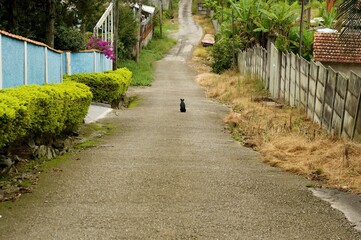 Waiting with love...