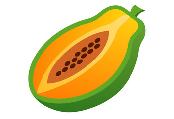 vector illustration of an orange